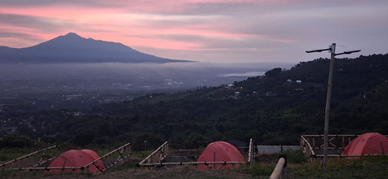 Sunrise pink Merah Salak